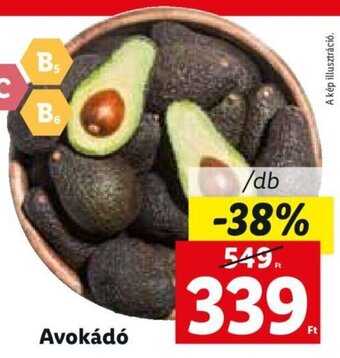 Lidl Avokádó 1 db ajánlat