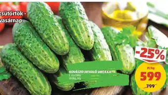 PENNY Kovászolnivaló uborka 1 kg ajánlat