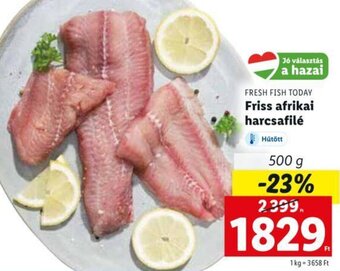 Lidl Fresh Fish Today Friss afrikai harcsafilé 500 g ajánlat