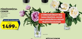 ALDI Pünkösdirózsa- csokor 4 szál ajánlat