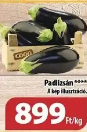 Coop Coop Padlizsán 1 kg ajánlat