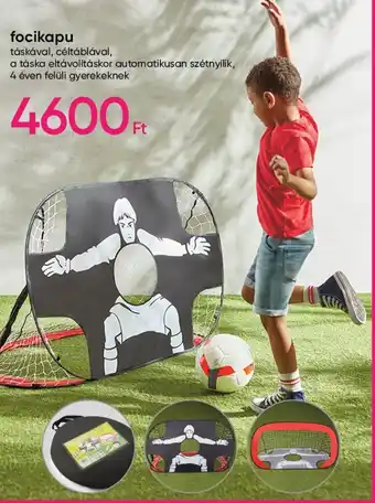 Focikapu 1 db