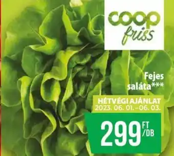 Fejes saláta 1 db