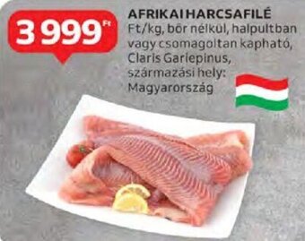 Auchan Afrikai harcsafilé 1 kg ajánlat