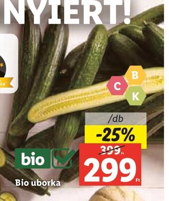 Lidl Bio uborka 1 db ajánlat