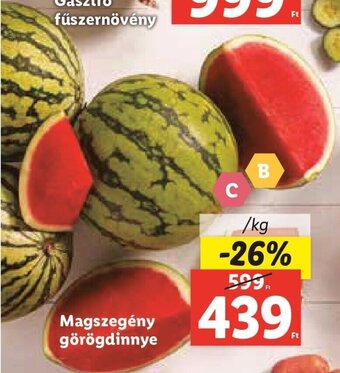 Lidl Magszegény görögdinnye 1 kg ajánlat