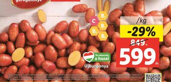 Újburgonya 1 kg