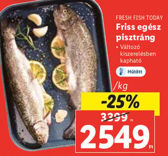 Fresh Fish Today Friss egész pisztráng 1 kg