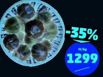 PENNY Fokhagyma 1 kg ajánlat