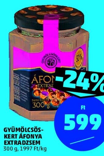 PENNY Gyümölcsöskert áfonya extradzsem 300 g ajánlat