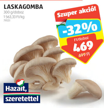 ALDI LASKAGOMBA 300 g ajánlat
