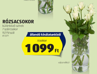 ALDI RÓZSACSOKOR 1 csokor ajánlat