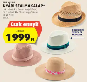 ALDI BLUE MOTION NYÁRI SZALMAKALAP 1 db ajánlat