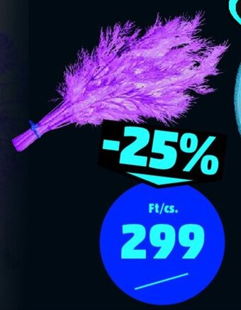 PENNY FRISS KAPOR 25 g ajánlat