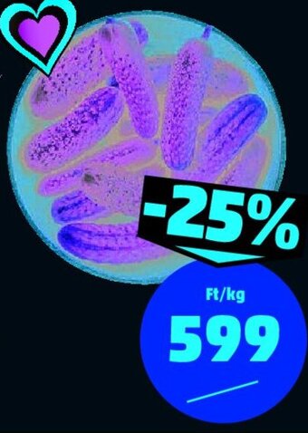 PENNY KOVÁSZOLNI VALÓ UBORKA 1 kg ajánlat