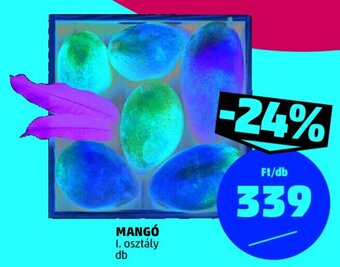 PENNY MANGÓ 1 db ajánlat