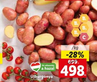Lidl Újburgonya 1 kg ajánlat