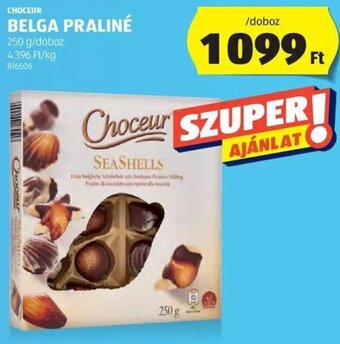 ALDI CHOCEUR BELGA PRALINÉ 250 g ajánlat