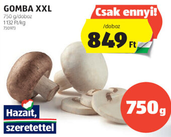 ALDI GOMBA XXL 750 g ajánlat