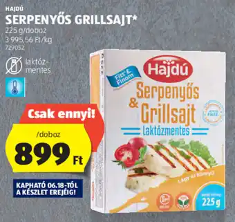 HAJDÚ SERPENYŐS GRILLSAJT 225 g