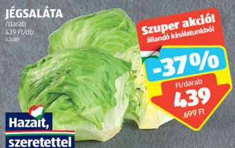 ALDI JÉGSALÁTA 1 db ajánlat