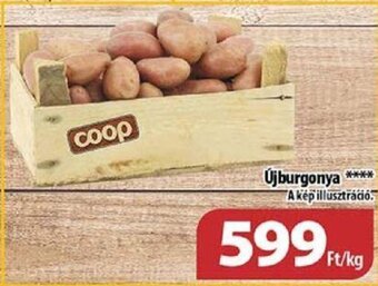 Coop Újburgonya 1 kg ajánlat