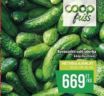 Coop Kovászolni való uborka 1 kg ajánlat
