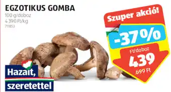 ALDI EGZOTIKUS GOMBA 100 g ajánlat