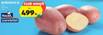 ALDI BURGONYA ÚJ 1 kg ajánlat