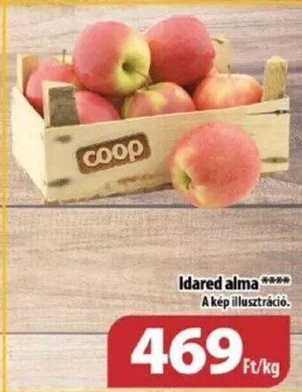 Coop Idared alma 1 kg ajánlat