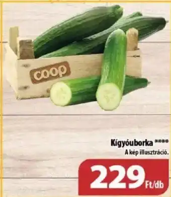Coop Kígyóuborka 1 db ajánlat