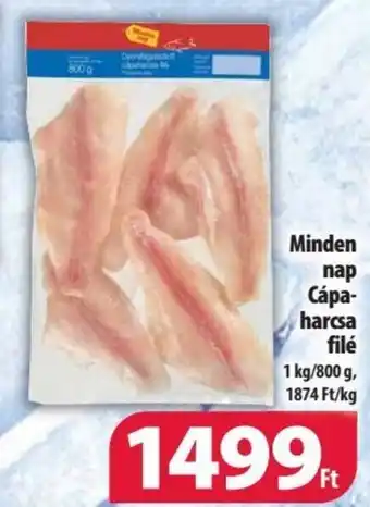 Minden nap Cápa- harcsa filé 1 kg / 800 g