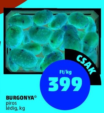 PENNY BURGONYA 1 kg ajánlat