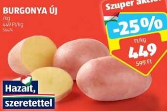 ALDI BURGONYA ÚJ 1 kg ajánlat