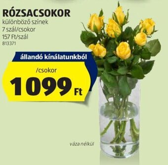 ALDI RÓZSACSOKOR 1 csokor ajánlat
