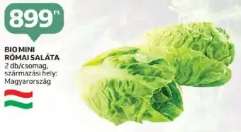 Auchan BIO MINI RÓMAI SALÁTA 2 db ajánlat