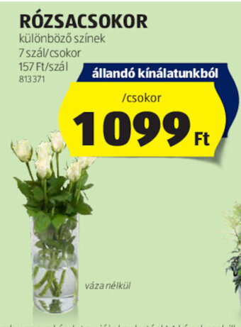 ALDI RÓZSACSOKOR 7 szál ajánlat