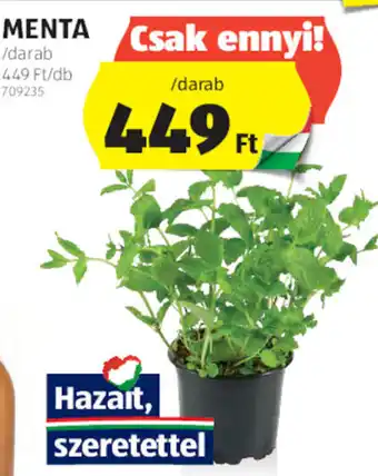 ALDI MENTA ajánlat