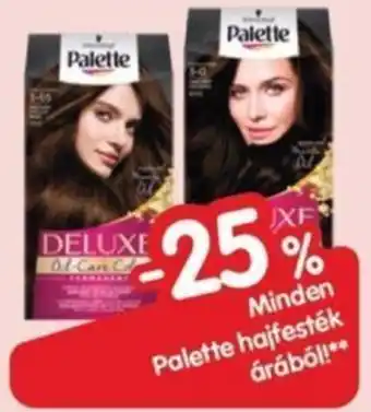 Interspar Minden Palette hajfesték árából! ajánlat