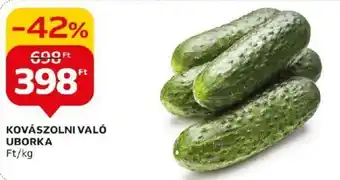 KOVÁSZOLNI VALÓ UBORKA 1 kg