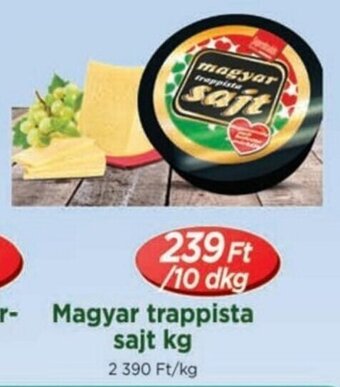 Real Magyar trappista sajt 10 dkg ajánlat