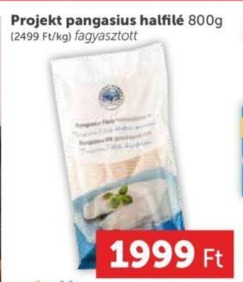 Projekt pangasius halfilé 800 g