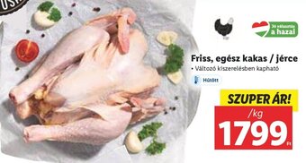 Friss, egész kakas / jérce 1 kg