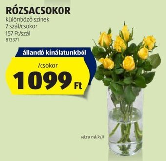ALDI RÓZSACSOKOR 7 szál ajánlat