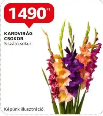 KARDVIRÁG CSOKOR 5 szál