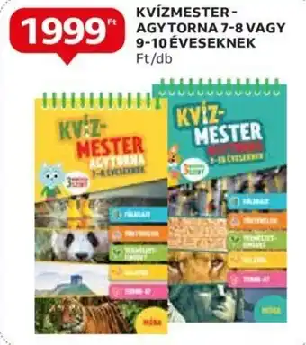 KV-Z-MESTER AGYTORNA 7-8 stb. 1 db