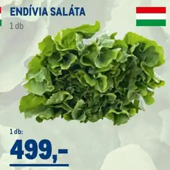 Metro ENDÍVIA SALÁTA 1 db ajánlat