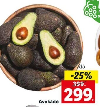 Lidl Avokádó 1 db ajánlat
