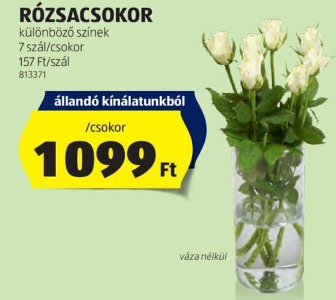 ALDI RÓZSACSOKOR, csokor ajánlat
