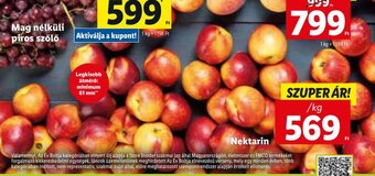 Lidl Nektarin 1 kg ajánlat